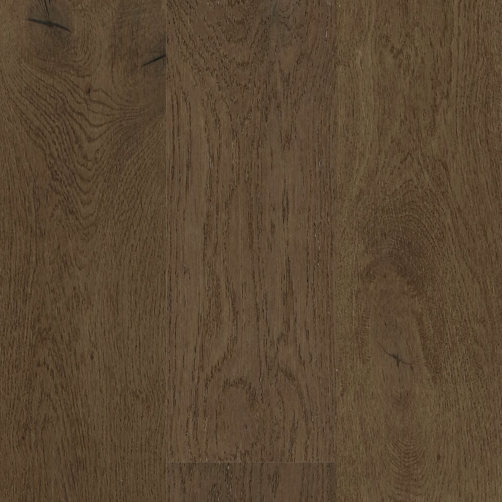 Mvmt ivory outlet oak